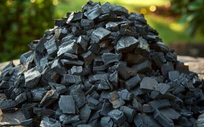 Biochar : Le charbon écologique issu de la biomasse